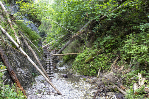 Obraz na plátně Abenteuerlicher Holzsteig durch eine wilde Felsenschlucht