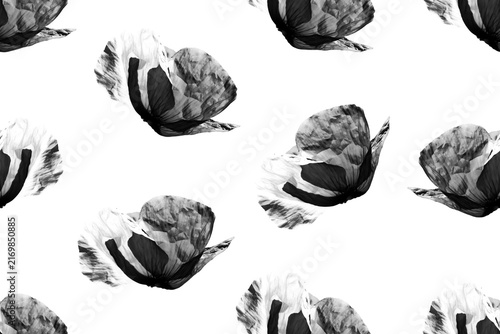 Seamless pattern of black illustrated poppy flowers