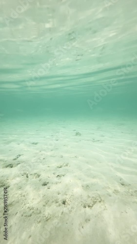 Vertical underwater scene with fish swimming over sandy seabed with light patterns, 4K