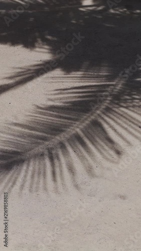 Palm Frond Shadows Fall Across Sunlit Sand, Creating a Tropical Nature Background Vertical video.