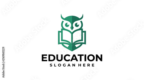 Modern minimalist logo design featuring an owl and an open book for education.