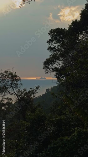 Tropical Trees Frame a Distant Island and Calm Sea Beneath a Glowing Horizon, Scenic Nature View Supporting Travel and Tranquility Vertical video.