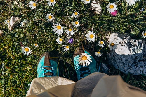 Turquoise trail shoes and legs framed by white daisies on a sunlit alpine slope from above. Carefree mountain rest and summer hiking for wellness, footwear and travel lifestyle brands