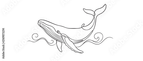 Photography elegant whale line art vector icon design
