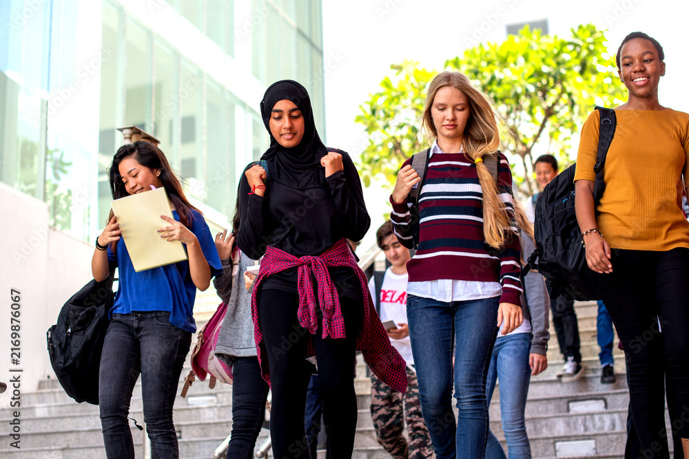 Fototapeta premium Diverse students walking campus stairs.