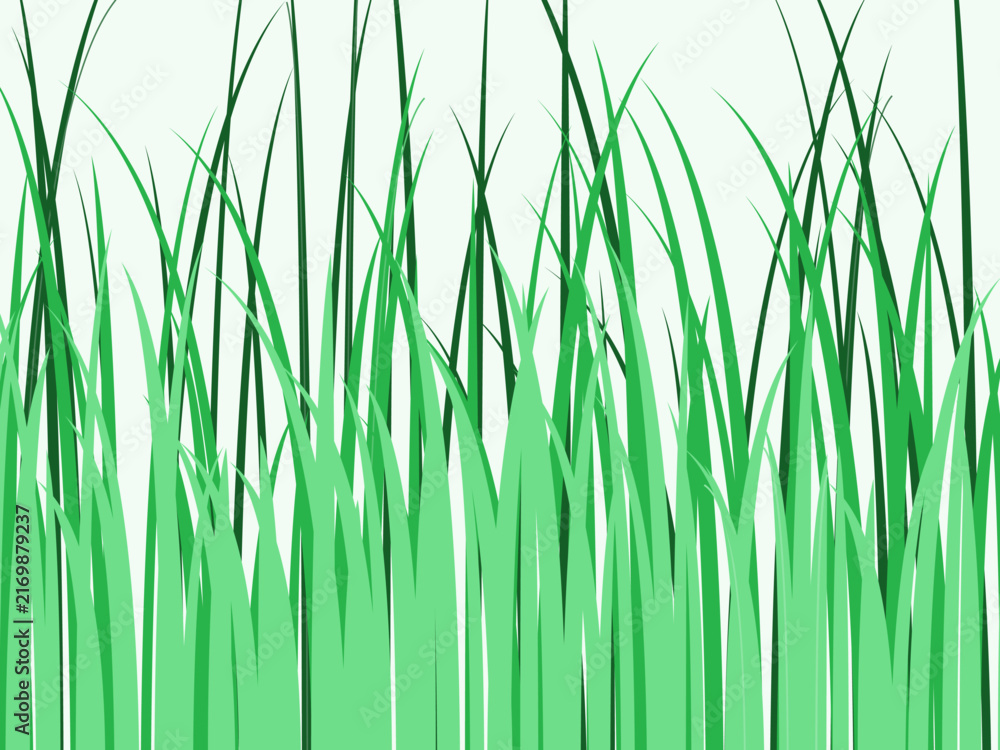 Fototapeta premium Bright Green Grass Blades Summer Vector Background