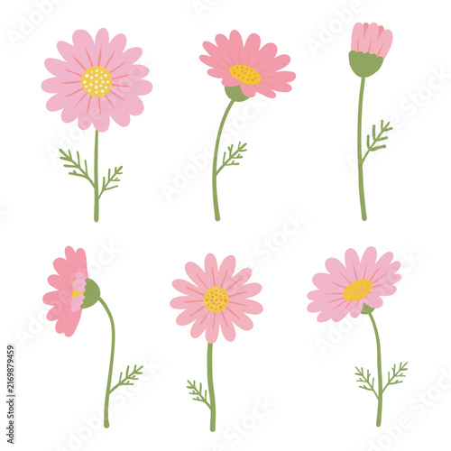 Flat minimal pink daisy chamomile set of 6, simple botanical stem clipart collection, cute floral elements isolated on white background for design