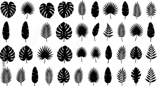 Картината върху платно Tropical leaves silhouettes vector set featuring monstera palm banana and fern l