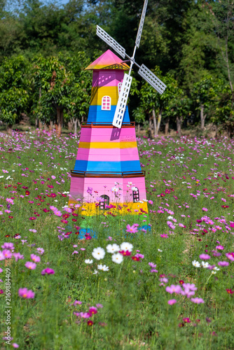 Colorful rainbow windmill model standing in middle of blooming pink cosmos flower field