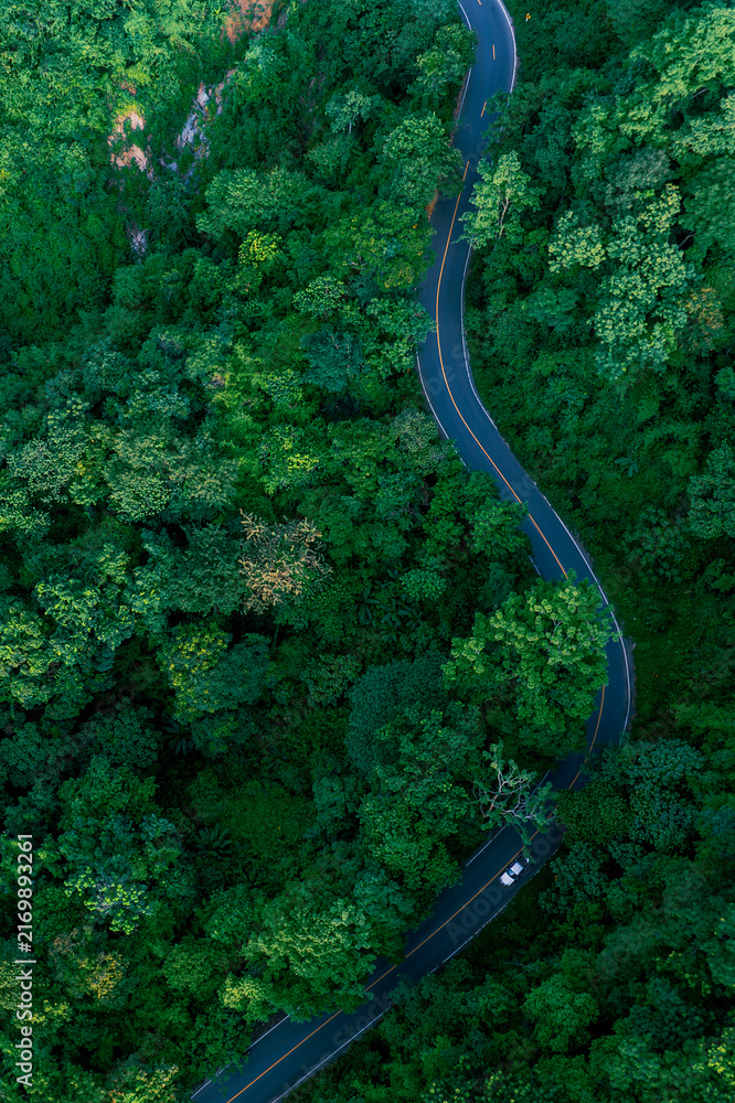 Fototapeta premium Aerial forest road with car creating abstract background for electric vehicle, ESG, sustainability and green investment business concepts.