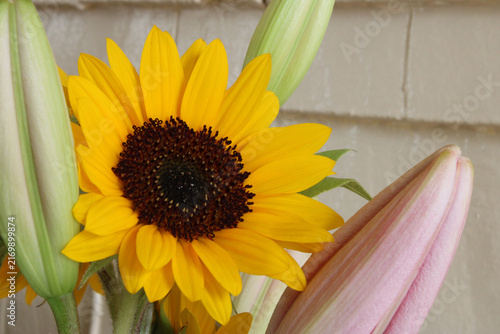 Sunflower Yellow Petal 05