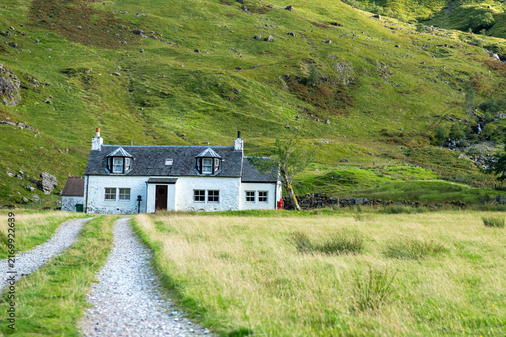 Fototapeta premium Charming cottage amidst lush hills.