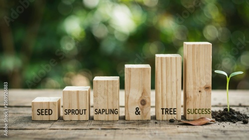 Sequence of wooden blocks with seed sprout sapling and tree text for business development stages.