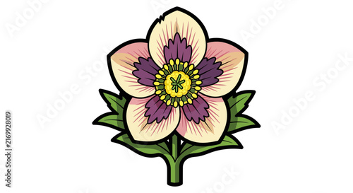 Stylized Illustration of a Hellebore Flower Botanical Art.