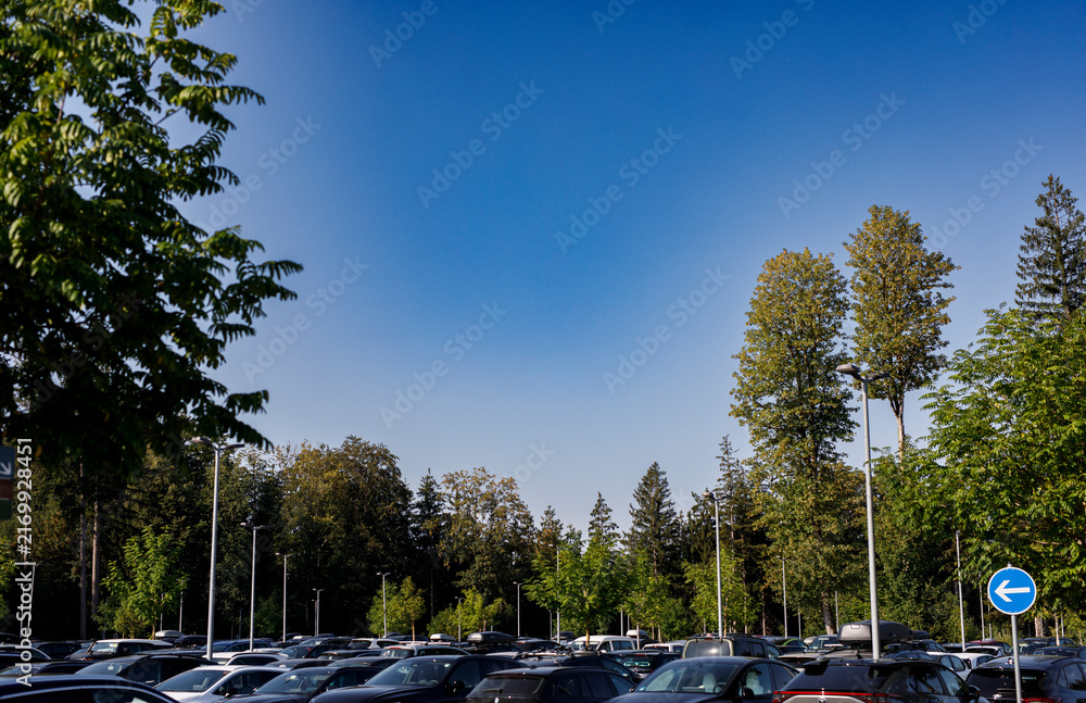 Fototapeta premium A full outdoor parking lot under a clear blue sky, surrounded by green trees and streetlights.