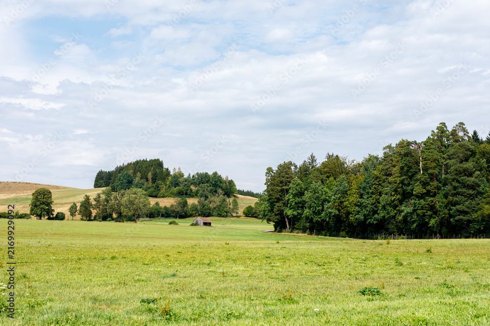 Naklejka premium Expansive green fields stretch towards rolling hills covered in dense forest under a cloudy sky, wit