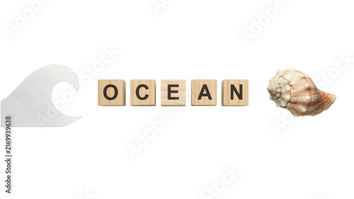 Ocean theme typography design. Sea wave vector, spelled with wooden alphabet blocks, and natural seashell. White background. Text, symbols, and marine concept lettering for banners.
