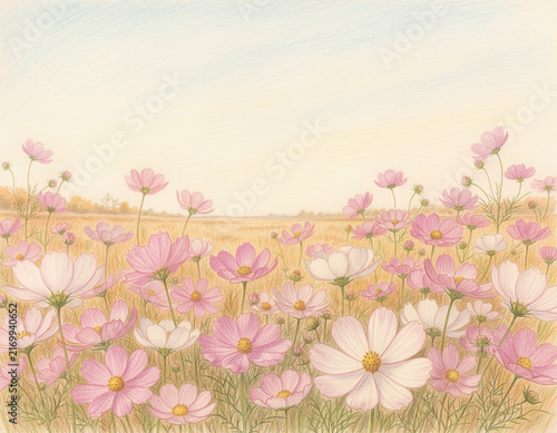 色鉛筆で描いた秋のコスモス畑の風景