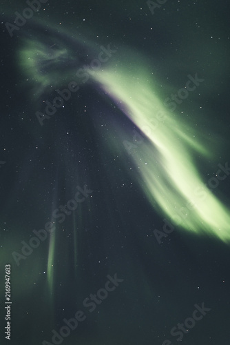 View of the vibrant green aurora borealis dancing across the night sky above the Lofoten islands, Nordland, Norway.