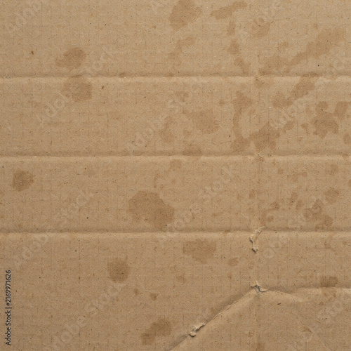Cardboard surface shows distinct signs of dampness with visible water stains on the textured material.