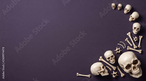 Human skulls and bones flat lay on dark purple background for Halloween design template