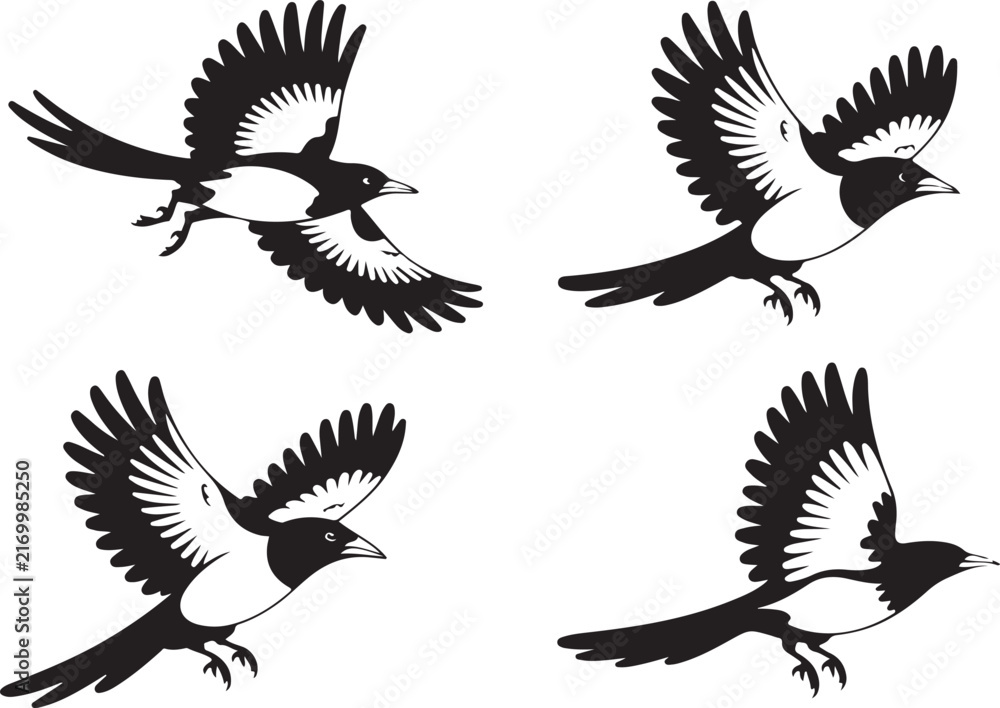 Fototapeta premium Bird Flight Silhouette Vector Set with Dynamic Wing Positions