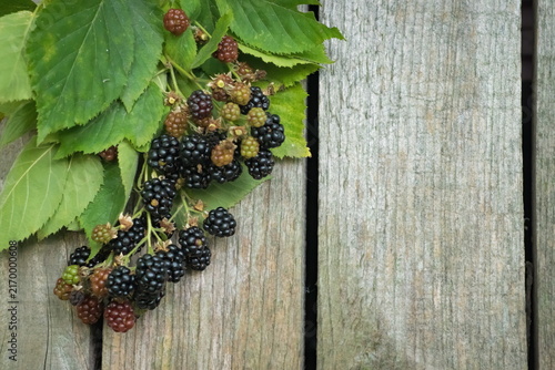 Blackberries, fresh fruits and green leaves on a natural wooden background; Rubus Fruticosus