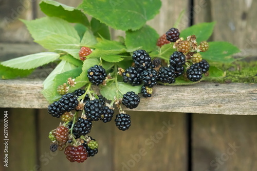 Blackberries, fresh fruits and green leaves on a natural wooden background; Rubus Fruticosus