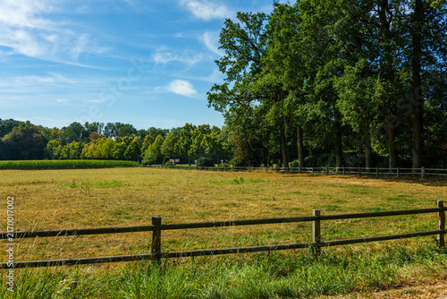 Agricultural pasture field with wooden fence and green oak trees under blue sky
