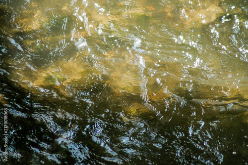 Принти на полотні Horizontal nature detail photo of golden river water reflections real photograph