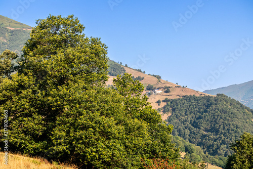 Landscape of the port of Leitariegos in Asturias, Spain, during the month of August 2026