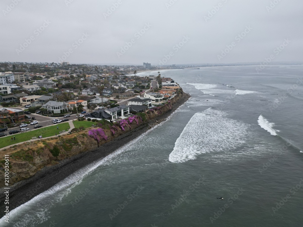 Fototapeta premium Bird Rock Surf #3 Drone