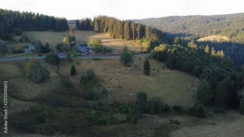 Smooth aerial view over lush green countryside with open fields, dense trees, winding rural roads and peaceful natural scenery in bright daylight.