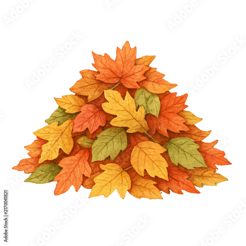 autumn maple leaves