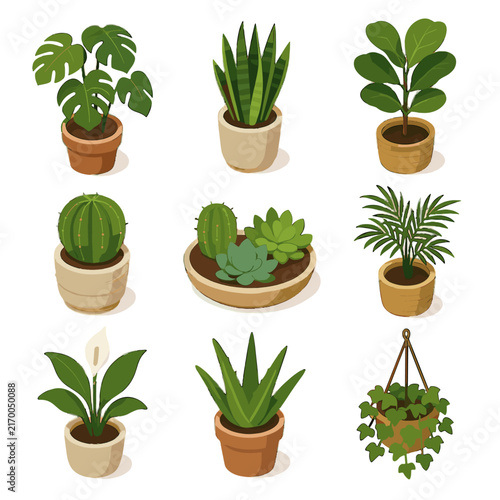 Icon ivy palm monstera isometric fig succulent icons ceramic houseplant trio peace