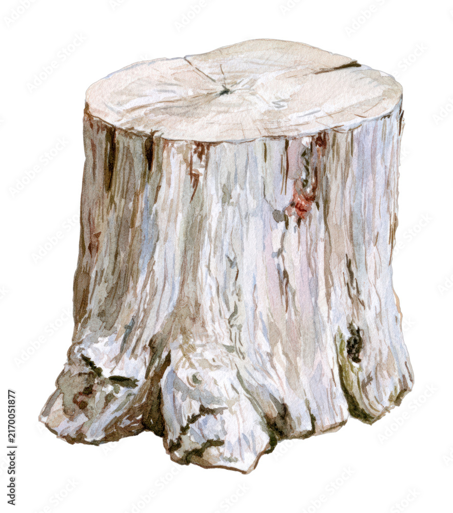 Obraz premium Watercolor tree stump PNG on transparent background, rustic wood cutout.