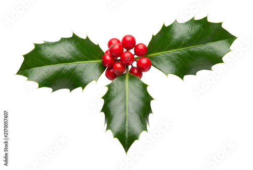 Фотография Holly leaves and berries isolated on transparent background