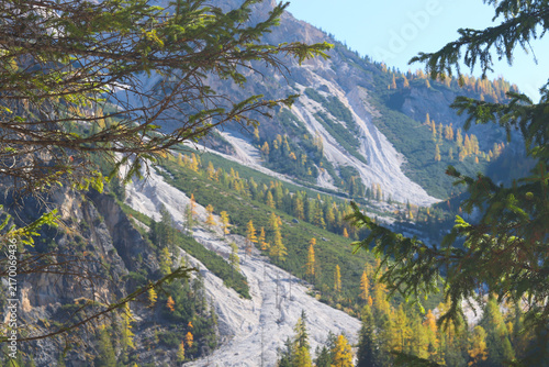 Dolomites mountain landscape in Italy with dramatic limestone cliffs, alpine forest and pine branches in the foreground. Scenic view of rugged peaks and peaceful nature in the Italian Alps.