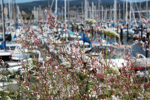 A scenic marina view from a walkway