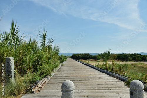 快晴の流れ橋　夏季(京都府八幡市)