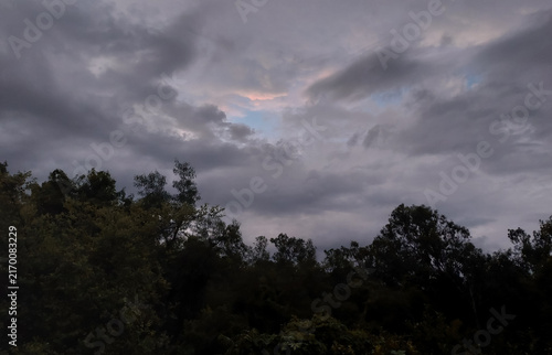 Dark stormy clouds in sky background, nature photography, sunset scenery view, silhouette of trees wallpaper 