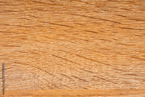 Foto Rough surface of treated pine or oak board in uniform studio lighting