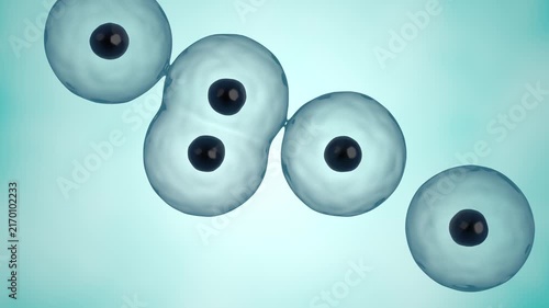 Cell Division 3D Animation for Biology Education and Medical Research