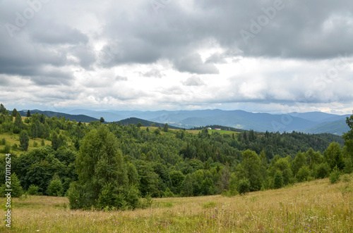 Peaceful mountain meadow slopes toward dense pine and mixed forest, with layered blue ridges fading into the distance beneath a dramatic cloud filled sky. Carpathian Mountains, Ukraine