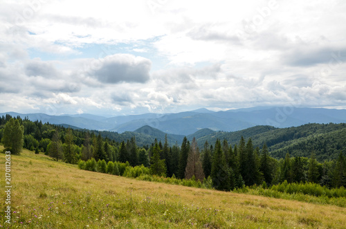 Peaceful mountain meadow slopes toward dense pine and mixed forest, with layered blue ridges fading into the distance beneath a dramatic cloud filled sky. Carpathian Mountains, Ukraine