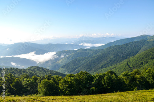 Misty mountain landscape with rolling green hills, dense forest and low clouds over a peaceful valley. Soft morning light and panoramic view convey tranquility, nature, travel and outdoor adventure