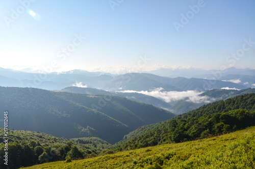 Misty mountain landscape with rolling green hills, dense forest and low clouds over a peaceful valley. Soft morning light and panoramic view convey tranquility, nature, travel and outdoor adventure