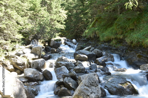 Canvas Print Charmant ruisseau en cascades au milieu d'une forêt suisse.