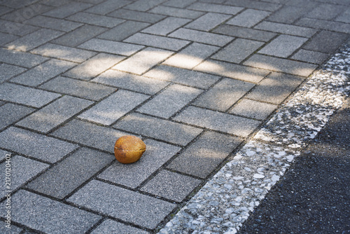 Фотография ひとりぼっちの果実