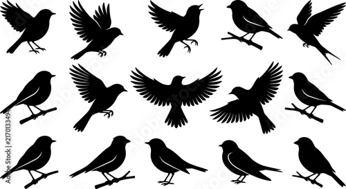 Flying and perching bird silhouette vector set featuring songbirds swallows and sparrows